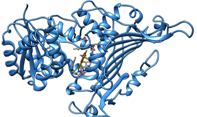 Identificación de inhibidores de la enzima G6PDH